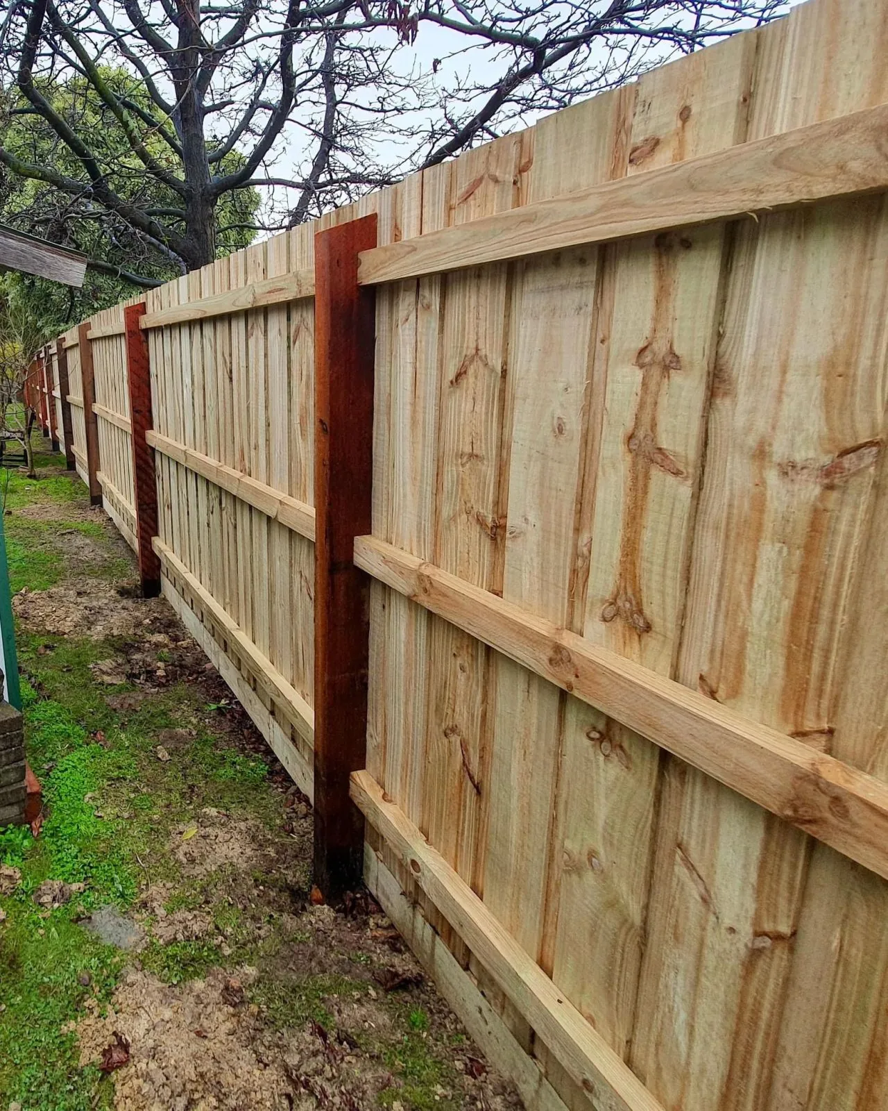 Treated pine timber paling fence installed by Mickleham Fencing