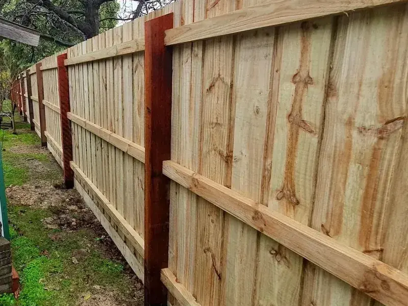 Timber paling and picket fencing